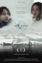 Red Knot ( 2014 )