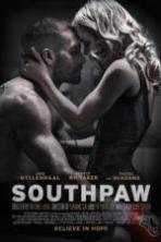 Southpaw ( 2015 )