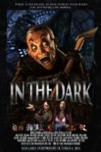 In the Dark ( 2015 )