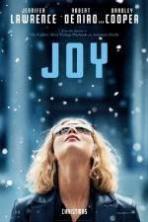 Joy ( 2015 )