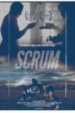 Scrum ( 2015 )