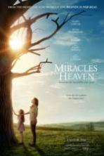 Miracles from Heaven ( 2016 )