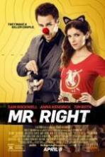 Mr Right ( 2016 )
