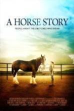 A Horse Story ( 2016 )