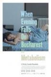 When Evening Falls on Bucharest or Metabolism (2013)