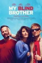 My Blind Brother ( 2016 )