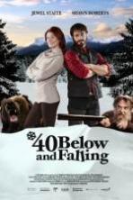 40 Below and Falling (2015)