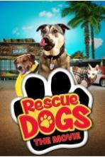 Rescue Dogs ( 2016 )