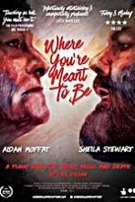 Where Youre Meant to Be (2016)