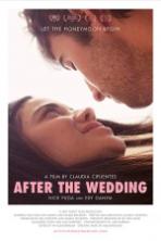 After the Wedding (2017) Full Movie Watch Online Free