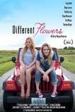 Different Flowers (2017)