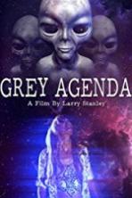 Grey Agenda ( 2017 )