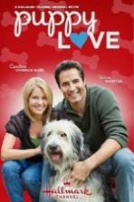 Puppy Love ( 2012 )