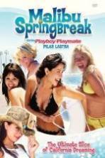 Malibu Spring Break ( 1969 )