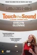 Touch the Sound: A Sound Journey with Evelyn Glennie ( 2004 )