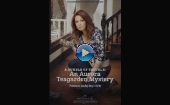 A Bundle of Trouble: An Aurora Teagarden Mystery (2017)