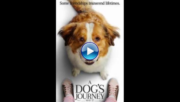A Dog's Journey (2019)