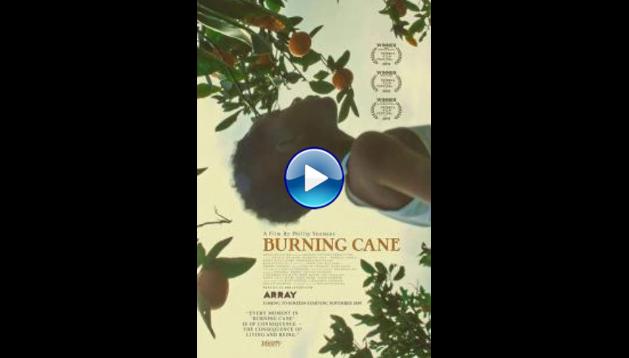 Burning Cane (2019)