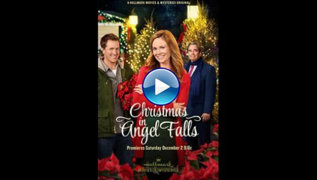 Christmas in Angel Falls (2017)