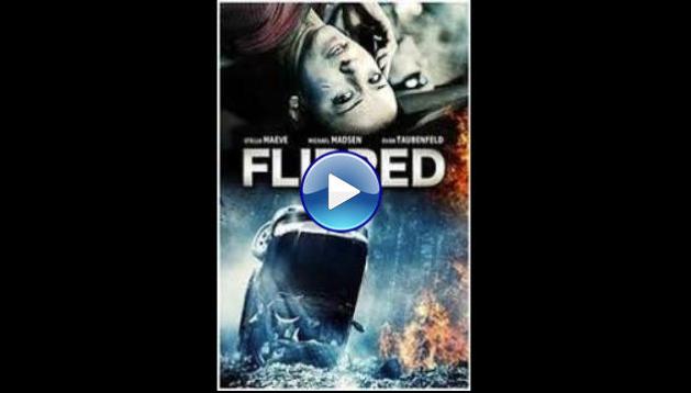 Flipped (2015)