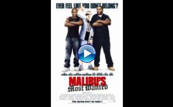 Malibu's Most Wanted (2003)