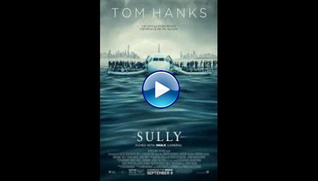 Sully (2016)
