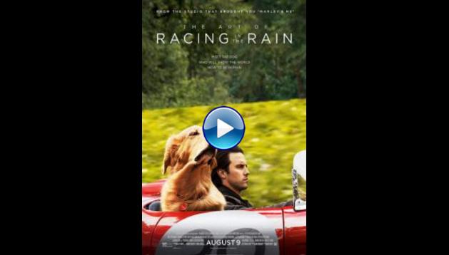 The Art of Racing in the Rain (2019)
