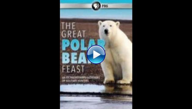 The Great Polar Bear Feast 2015