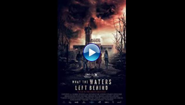 What the Waters Left Behind (2017)