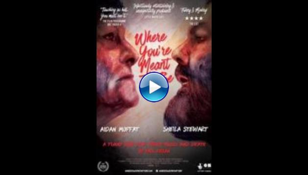 Where You're Meant to Be (2016)