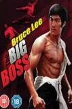 The Big Boss (1971)