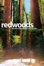Redwoods (2009)