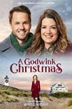 A Godwink Christmas: Meant for Love