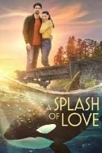 A Splash of Love